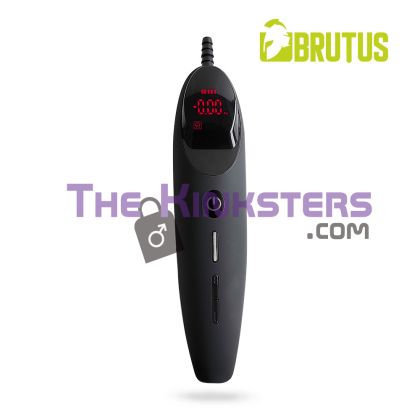 BRUTUS GET BIGGER Smart Automatic Pump