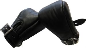 Mister B Premium Bondage Fist Mitts