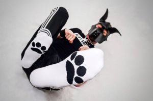 Sk8erboy Puppy Paw Socks White