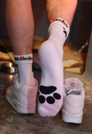 Sk8erboy Puppy Paw Socks White